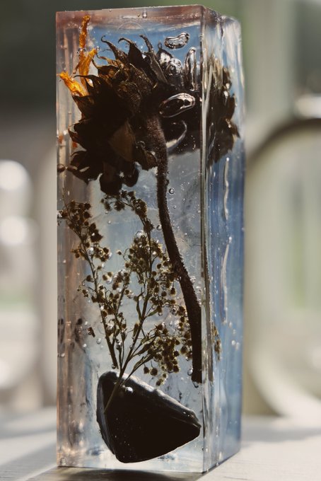 A clear resin block preserving a dark sunflower, delicate white flowers, and a black stone, with small air bubbles visible throughout the transparent material.