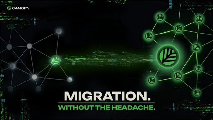 An advertisement for 'CANOPY' displaying the text 'MIGRATION. WITHOUT THE HEADACHE.' alongside a green glowing leaf logo and a network of interconnected nodes.