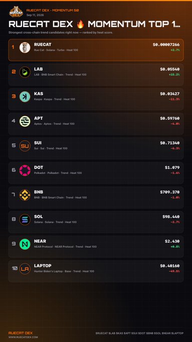 A 'RUECAT DEX MOMENTUM 50' ranking chart from Sep 17, 2026, showing RUECAT at #1 with $0.00007266 (+2.7%), followed by LAB, KAS, APT, SUI, DOT, BNB, SOL, NEAR, and LAPTOP.