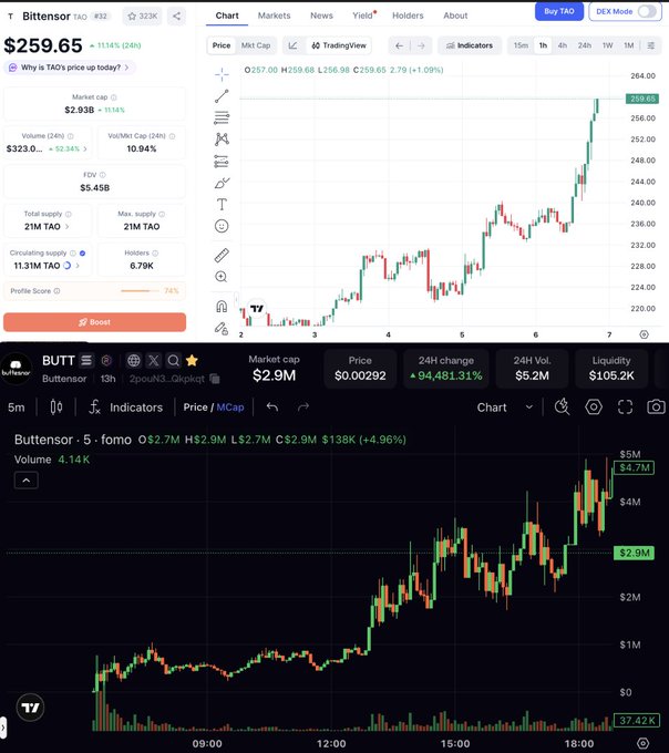 Two cryptocurrency chart screenshots showing 'BUTTENSOR TAO' at $259.65 with +11.14% gain (24h) and a Market cap of $2.93B, plus a second chart showing 'BUTT' token at $2.9M market cap with +94,481.31% 24h change.