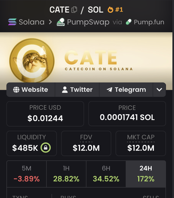 This image shows the "Catecoin on Solana" token, displaying its price at $0.01244 USD and a 24-hour gain of 172%, perfectly aligning with the "much wow $CATE" post.