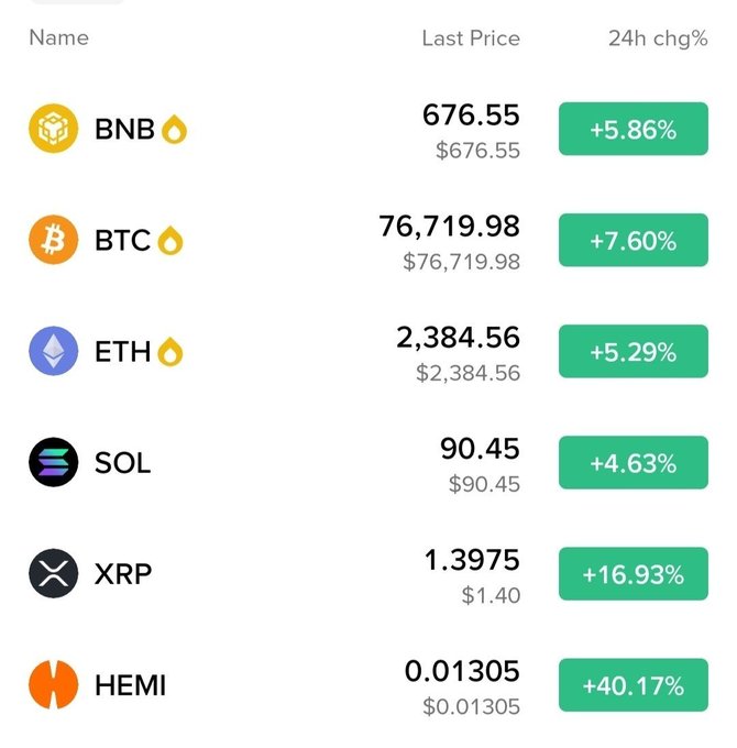 A cryptocurrency price list showing BNB ($676.55), BTC ($76,719.98), ETH ($2,384.56), SOL ($90.45), XRP ($1.40), and HEMI ($0.01305) with their 24-hour percentage changes, all in green.