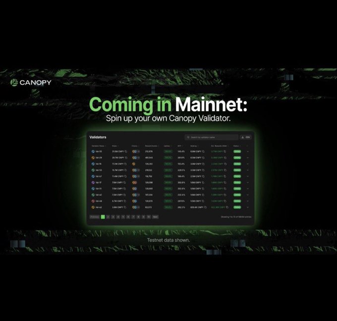 An advertisement for 'CANOPY' showing 'Coming in Mainnet: Spin up your own Canopy Validator' with a list of validators and 'Testnet data shown' text.