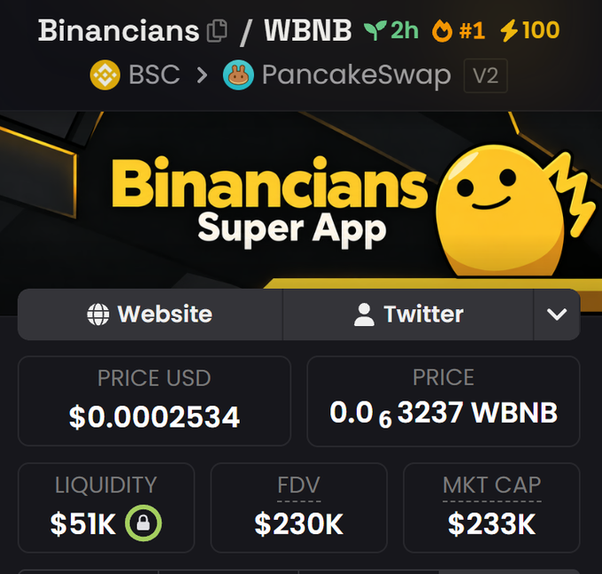 A cryptocurrency tracking interface displays data for 'Binancians / WBNB' on PancakeSwap V2, showing a price of $0.0002534 USD, liquidity of $51K, and an FDV of $230K.