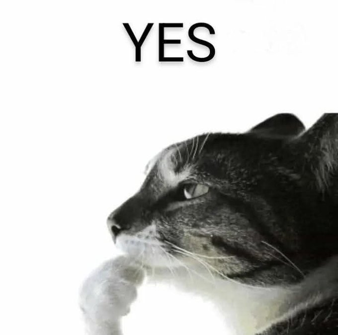 A black-and-white close-up photo of a cat giving a thumbs-up gesture with its paw, accompanied by the text 'YES' displayed above.