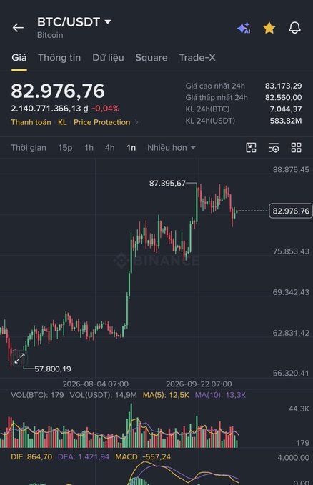 A Binance trading chart for BTC/USDT (Bitcoin) showing a current price of 82,976.76 with a slight 0.04% decline. The chart displays a candlestick view with 24-hour high of 83,173.29 and low of 82,560.00.