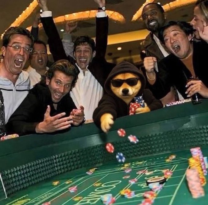 A group of excited, cheering people, including a Shiba Inu dog wearing sunglasses and a hoodie, are gathered around a casino craps table throwing dice together, fitting the "all in" gambling theme referenced in the post.