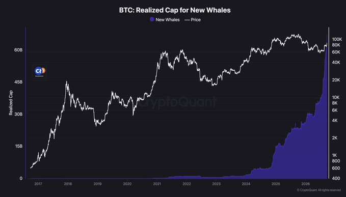A CryptoQuant chart titled "BTC: Realized Cap for New Whales" tracks new whale accumulation (blue area, left axis in $15B-60B Realized Cap) against Bitcoin price (white line, right axis ranging from ~$400 to ~$100K) from 2017 through 2026. The chart visually supports the post's claim by showing new whale realized cap surging sharply upward to record highs near $60B while BTC trades around $80K-$100K, indicating aggressive whale buying.