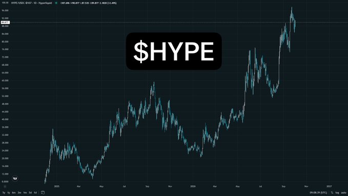 A TradingView candlestick chart for $HYPE token showing significant price appreciation from around $12 in early 2024 to over $90 by late 2025.