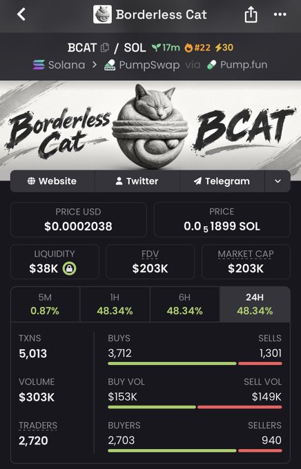 A DexScreener-style page for 'Borderless Cat' (BCAT) token on Solana/PumpSwap showing price $0.0002038, market cap $203K, and trading statistics.