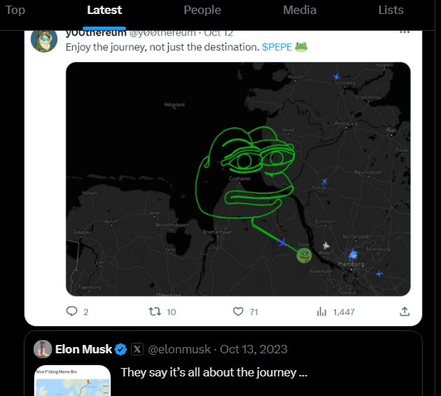 A Twitter/X feed showing a post by @y00thereum with the text 'Enjoy the journey, not just the destination. $PEPE' featuring a green Pepe drawing over a flight map, followed by a response from Elon Musk (@elonmusk) reading 'They say it's all about the journey ...'.