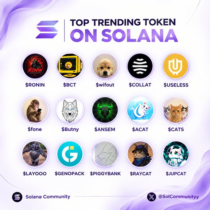 An infographic titled 'TOP TRENDING TOKEN ON SOLANA' showcasing fifteen cryptocurrency tokens including $RONIN, $wifout, $COLLAT, and $ACAT from the Solana Community.