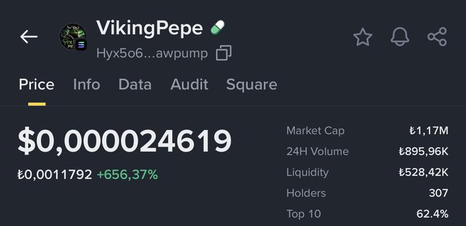 A cryptocurrency price chart showing "VikingPepe" (Hyx5o6...awpump) with a current price of $0.0000024619, displaying a 656.37% increase, a market cap of ₺1.17M, and 307 holders—corroborating the user's claim of purchasing the token on the Solana network.