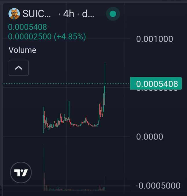 A TradingView 4-hour chart for $SUICAT on Sui shows the token trading at 0.0005408, up 4.85% (+0.00002500), with recent price action displaying a sharp upward spike amid prior consolidation. The chart visually supports the post's claim of a developing run on Sui's $SUICAT.