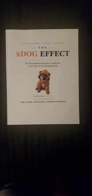 A printed poster on a dark background advertises "THE $DOG EFFECT," described as "The first memecoin native to Bitcoin, born free in the halving block," featuring an illustration of a Shiba Inu dog in a Bitcoin-themed hoodie, with a foreword by Leonidas and a tagline "FAIR LAUNCH FIXED SUPPLY FOREVER ON BITCOIN." The image relates to the accompanying post by showcasing the physical promotional material for the $DOG memecoin.