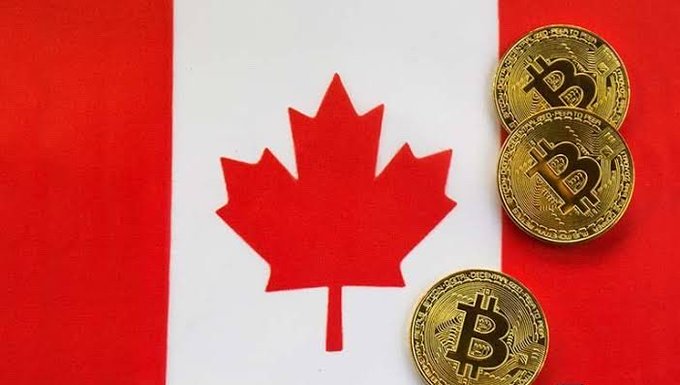 Three gold Bitcoin tokens are placed on top of a Canadian flag, displaying the Bitcoin '₿' logo clearly on each coin.