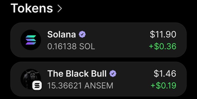 The image shows a crypto wallet's "Tokens" page displaying two assets: 0.16138 Solana (SOL) valued at $11.90, and 15.36621 "The Black Bull" ($ANSEM) tokens valued at $1.46. This directly illustrates the post's claim of a small ~$1.50 investment in the $ANSEM token, made in hopes of qualifying for the airdrop.