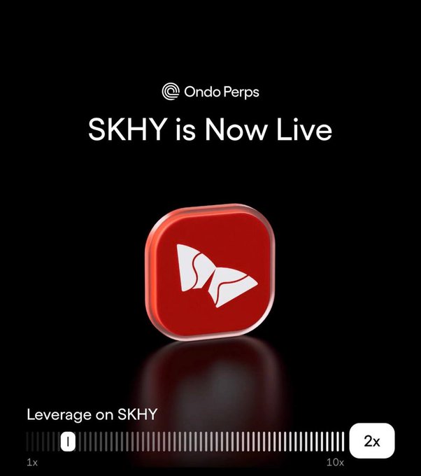 The image announces that "SKHY is Now Live" on the Ondo Perps platform, featuring a red button with the SK Hynix butterfly logo and a slider set to "2x" leverage.