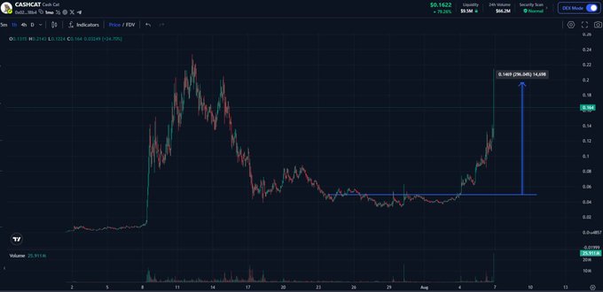 A TradingView candlestick chart for ticker $CASHCAT (CAW) is displayed, showing a price surge from roughly 0.06 to 0.1669 (a 216.88% gain) with a horizontal blue support line drawn near 0.09 and a vertical line marking a 0.1669 target. The caption relates to the post by visually illustrating the trader's claim of buying at ~50M market cap and selling at the 200M peak following the Robinhood listing.