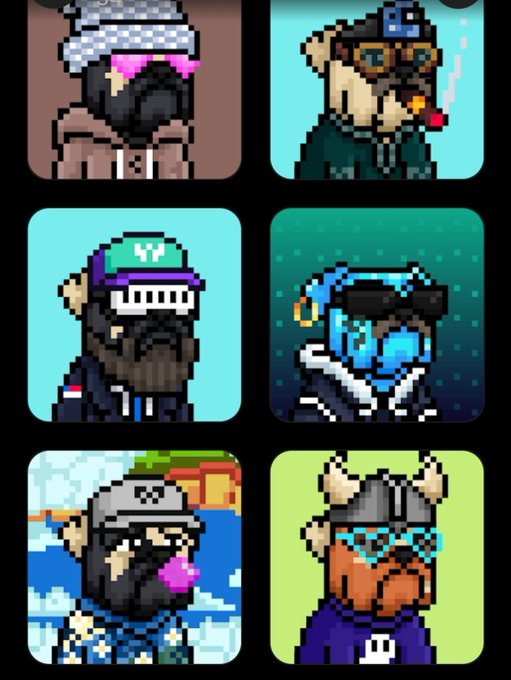Six pixel-art NFT portraits from the "Mud Dogs" collection are displayed in a grid, featuring various dog characters with different headwear like hats, sunglasses, and helmets on solid-colored backgrounds. The post celebrates minting these collectibles through the SolOnChain.io platform, with the image serving as a showcase of the variety within the collection.