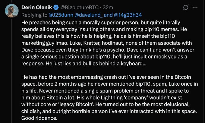 A tweet from Derin Olenik (@BigpictureBTC) criticizing Dave, describing him as a 'bip110 marketing guy' who insults others and engages in bullying behavior in the Bitcoin space.