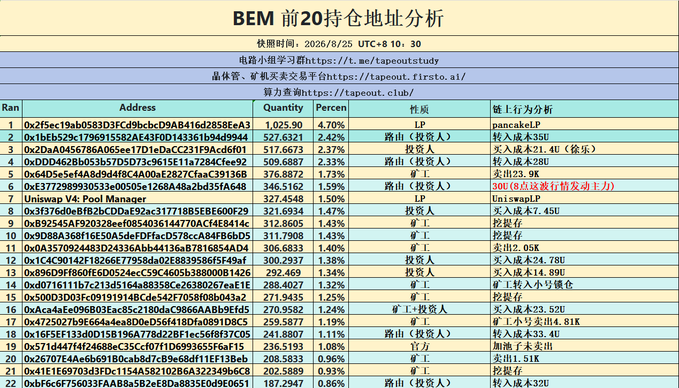 A Chinese spreadsheet titled 'BEM 前20持仓地址分析' (BEM Top 20 Holdings Address Analysis) showing cryptocurrency wallet addresses, quantities, percentages, and chain behavior analysis, timestamped 2026/8/25 UTC+8.