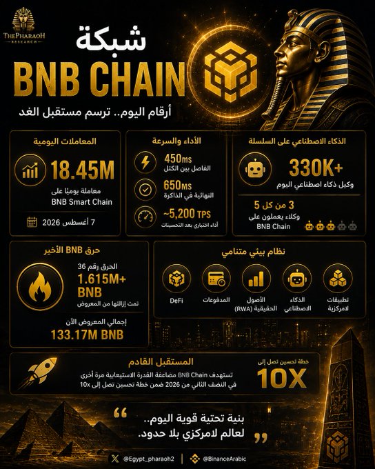 An Arabic-language infographic titled 'BNB CHAIN شبكة' detailing network statistics for BNB Smart Chain including 18.45M daily transactions, 450ms block times, and BNB token metrics.