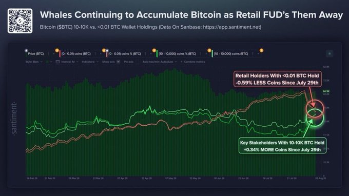 A Santiment chart titled 'Whales Continuing to Accumulate Bitcoin as Retail FUD's Them Away,' comparing Bitcoin 10-10K vs. <0.01 BTC wallet holdings, noting that retail holders have 0.59% less coins while key stakeholders have 0.34% more since July 29th.