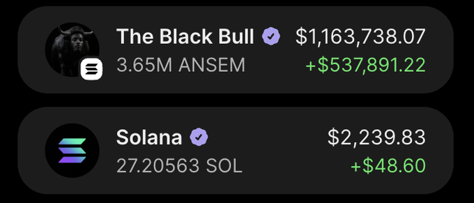 The image shows a crypto wallet displaying holdings of 3.65M ANSM (titled "The Black Bull") valued at $1,163,738.07 with a gain of +$537,891.22, along with 27.20563 Solana (SOL) worth $2,239.83. The screenshot serves as proof of the poster's claim that $ANSM and Solana trading transformed their life, showcasing the substantial profits that allowed them to retire early from "the trenches."
