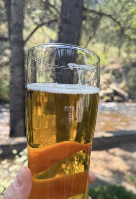 A hand holding a tall glass of golden beer with a foamy head, photographed outdoors with pine trees and dappled sunlight in the background.