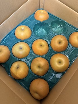 A top-down view of a cardboard box containing a green plastic tray filled with round yellow-orange Asian pears (nashi).