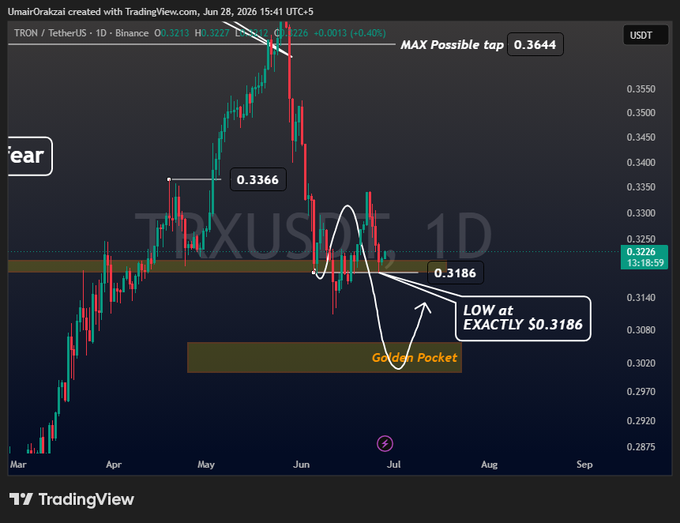 A TradingView daily chart of TRON/USDT (TRXUSDT) on Binance showing the price bouncing precisely off the $0.3186 support level within a highlighted "Golden Pocket," with annotations marking a maximum possible top at $0.3644 and emphasizing the exactness of the low at $0.3186.