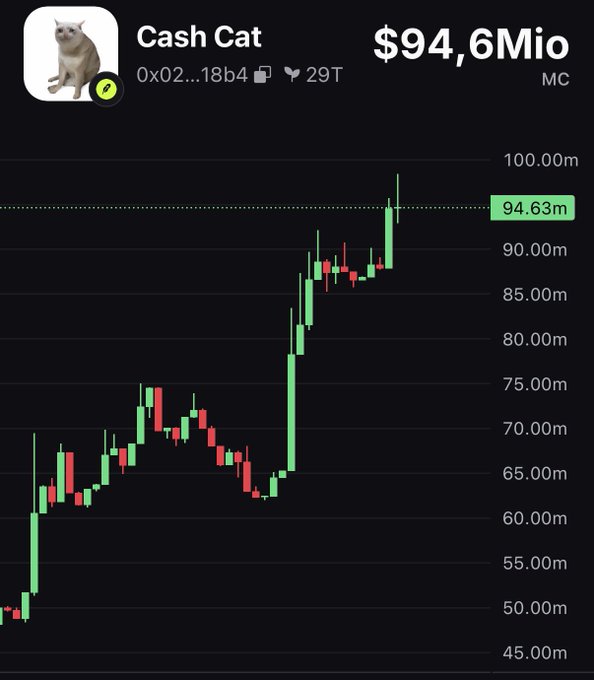 A financial chart displaying 'Cash Cat' with a market cap of '$94.6Mio' at $94.63m, showing a candlestick chart with significant upward price movement from $45.00m to $100.00m.
