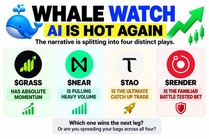The image is a promotional graphic titled "WHALE WATCH - AI IS HOT AGAIN," highlighting four AI-related cryptocurrency plays: $GRASS (absolute momentum), $NEAR (heavy volume), $TAO (catch-up trade), and $RENDER (battle-tested bet), each represented by their logos and accompanying chart icons. The accompanying caption cuts off before mentioning $RENDER and the concluding question about which token will win the next leg or whether to diversify across all four.