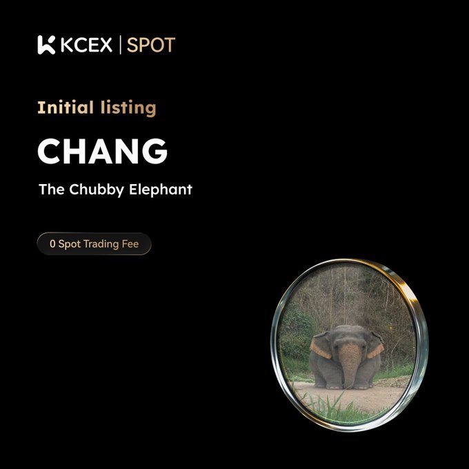 The image shows a black background with a white title that says " "#KCEX " initial listing", followed by a description of the item for sale as a trading meme coin called "CHANG" (The Chubby Elephant), featuring an adorable baby elephant design on its cover. The image also includes details about how to buy and deposit, and there is a link at the bottom that leads to more information about this unique and fun trading coin.