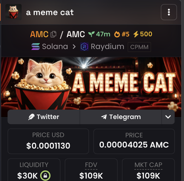The image shows a cryptocurrency trading interface for a token called "a meme cat" ($AMC), priced at $0.0001130 with a $30K liquidity on Solana via Raydium, with its banner depicting a cat popping out of a popcorn bucket in a movie theater setting.

The image cleverly visualizes the post's comparison of $AMC as a meme token on Solana (with a $109K market cap and only $30K liquidity) being pitched against traditional AMC stock and the vastly larger-scale $MEME token on Robinhood.