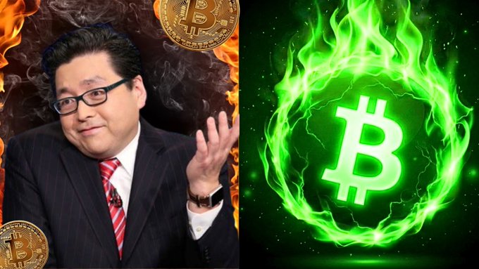 A split image showing a man in a suit and glasses on the left against a background of flames and Bitcoin coins, and a glowing green Bitcoin logo surrounded by fire on the right.