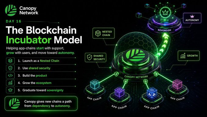 An infographic titled 'Canopy Network - DAY 16 - The Blockchain Incubator Model' explaining how new app-chains launch as nested chains, use shared security, build products, grow the ecosystem, and graduate to sovereignty.