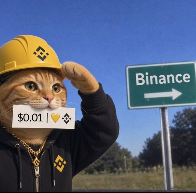 A meme image featuring an orange cat wearing a yellow Binance-branded hard hat and hoodie, saluting next to a 'Binance' road sign, with text showing '$0.01 | 💛 ⬢'.