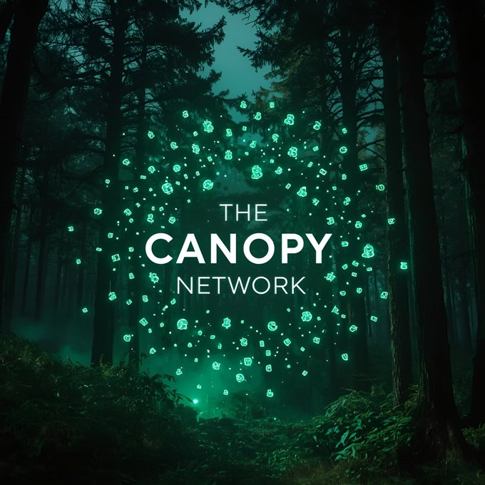 A digital graphic for 'THE CANOPY NETWORK' featuring teal glowing icons and dots arranged in a network pattern against a dark, misty forest background.
