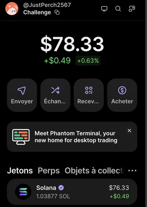 A Phantom Terminal portfolio screenshot for user "@JustPerch2567" labeled "Challenge" shows a balance of $78.33 (+$0.49, +0.63%), currently holding 1.03877 SOL worth $76.33, representing the starting point for the user's stated goal to grow 1 SOL to 100,000 SOL in a documented trading challenge.