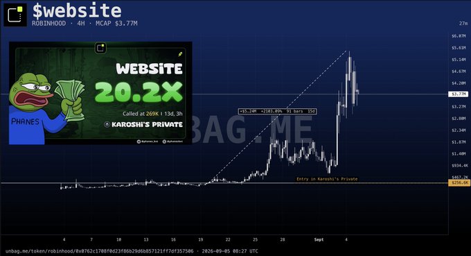 A dark-themed cryptocurrency chart for '$website' showing massive price growth with an overlay of a Pepe the Frog meme character holding money, displaying 'WEBSITE 20.2X' and 'Called at 269K | 13d, 3h' from KAROSHI'S PRIVATE.