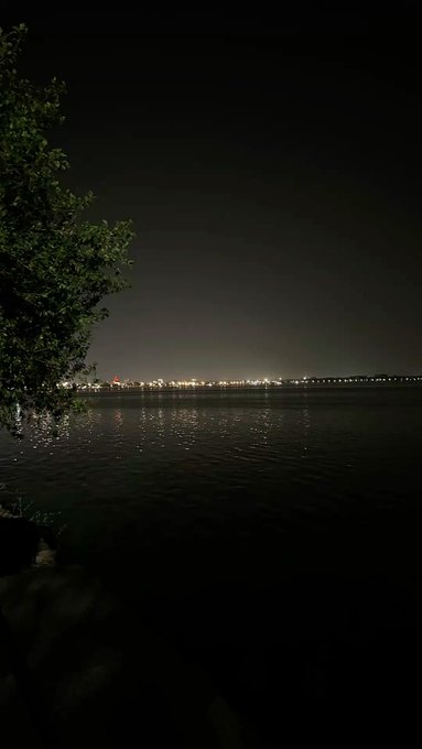 A nighttime view of a body of water reflecting the distant city lights on the horizon, with a dark tree branch visible on the left side.