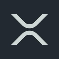 The image displays the white XRP logo—a stylized "X" with curved, ribbon-like forms—on a black background, representing the XRP cryptocurrency blockchain. It accompanies the post's comparison between XRP and Solana (SOL), highlighting XRP as one of the major blockchain projects being evaluated for potential bull run profits.