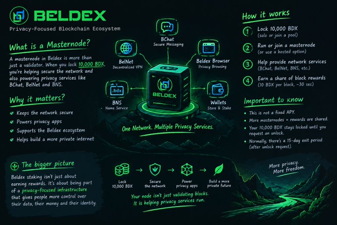 An infographic from Beldex illustrating how running a masternode by locking 10,000 BDX tokens helps secure the network and power privacy services like BChat (secure messaging), BelNet (decentralized VPN), Beldex Browser, BNS (Name Service), and Wallets, earning roughly 10 BDX per block in the process. The diagram visually connects the central masternode concept to the broader "One Network. Multiple Privacy Services" ecosystem, aligning with the post's point that Beldex staking actively powers privacy infrastructure rather than just passively earning rewards.