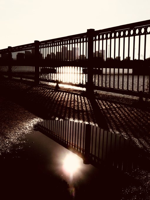 A silhouette of a wrought iron railing casts long striped shadows onto a paved walkway beside a body of water, with the sun's reflection glinting off a puddle in the foreground.