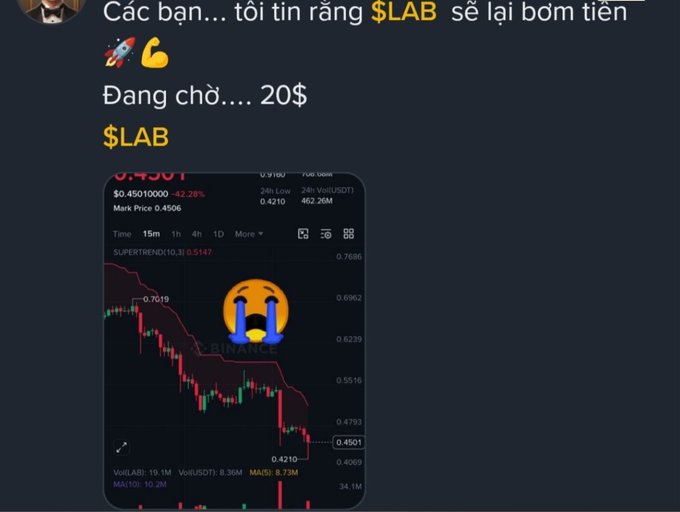 A Vietnamese social media post showing a cryptocurrency trading chart for $LAB with a downward trend, accompanied by a crying emoji and text saying the coin will make people rich.