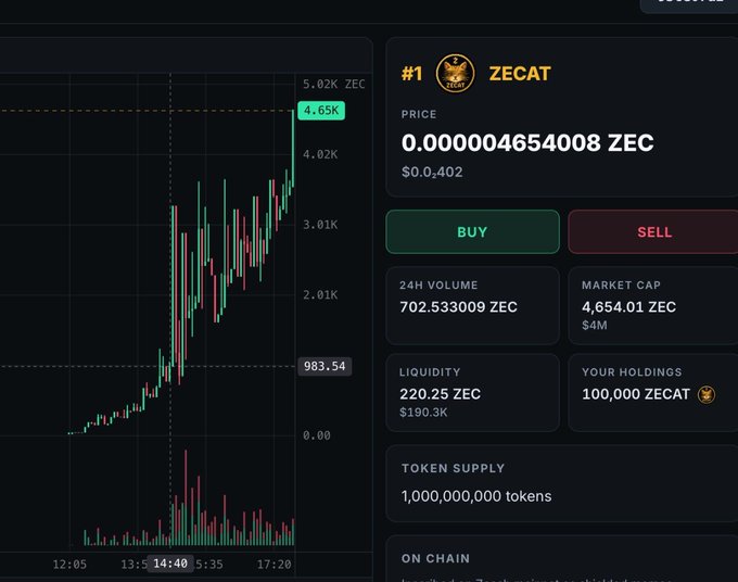 A cryptocurrency trading interface for ZECAT (#1) token showing a price chart, current price of 0.000004654008 ZEC, buy/sell options, 24H volume, market cap, liquidity, holdings of 100,000 ZECAT, and a token supply of 1,000,000,000 tokens.