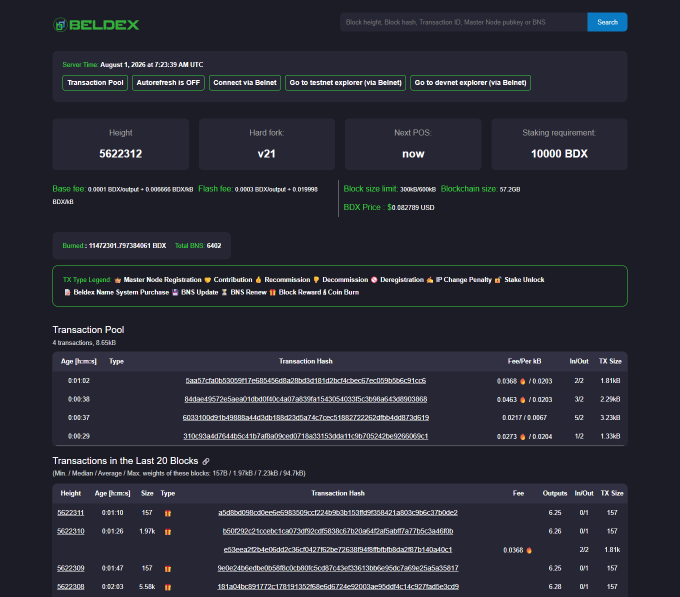 A blockchain explorer page for 'BELDEX' showing server time, height (5622312), hard fork (v21), transaction pool, and transaction details.