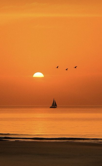 A sailboat glides across calm ocean waters as the sun rises on the horizon, with three birds silhouetted against the orange sky—capturing the serene beauty of a peaceful morning at sea.